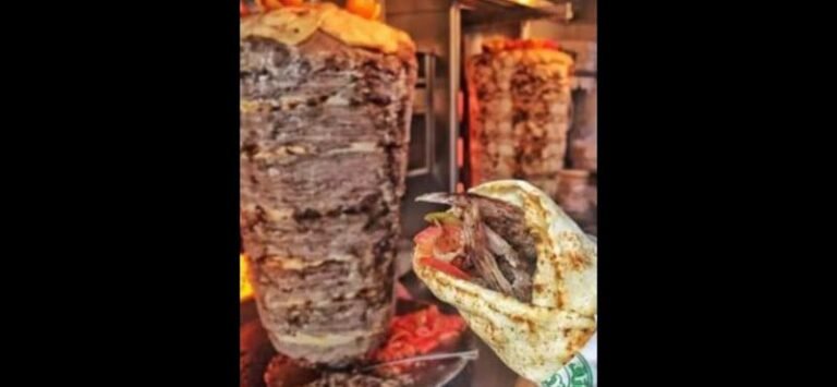 Capital Shawarma & Pies 5 in Ottawa 46456 ya habibi 1 768x355