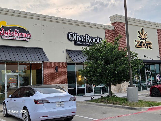 13224 olive roots mediterranean cuisine