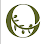 13224 olive roots mediterranean cuisine